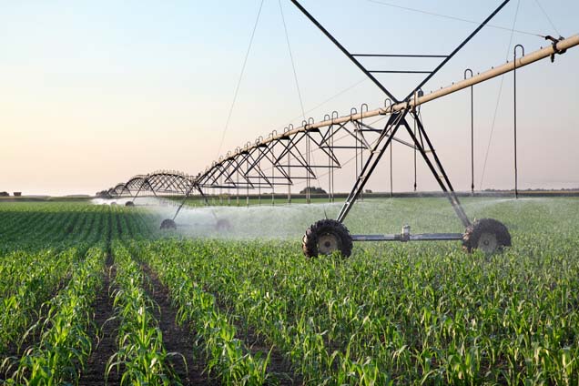 Image for: irrigation