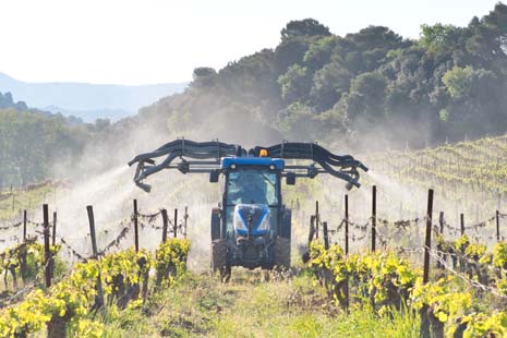 Bild für: Landwirtschaft